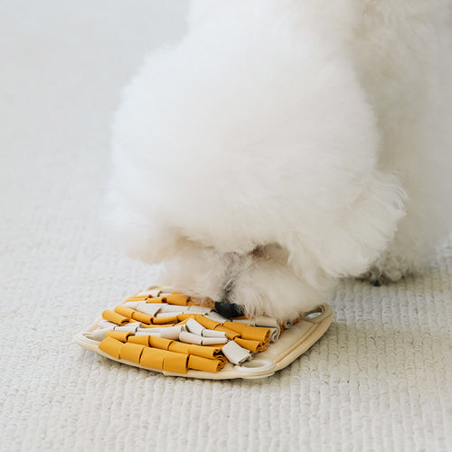Spin & Snack Squirrel Interactive Toy