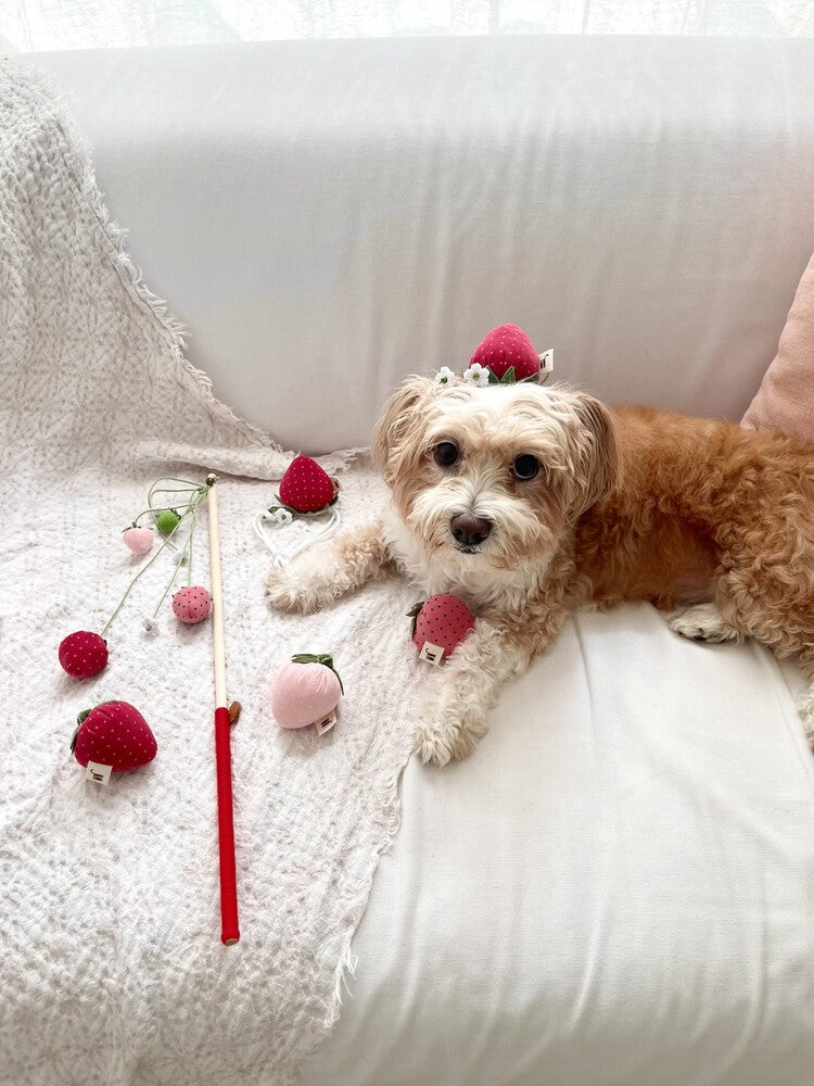 Strawberry Head Piece