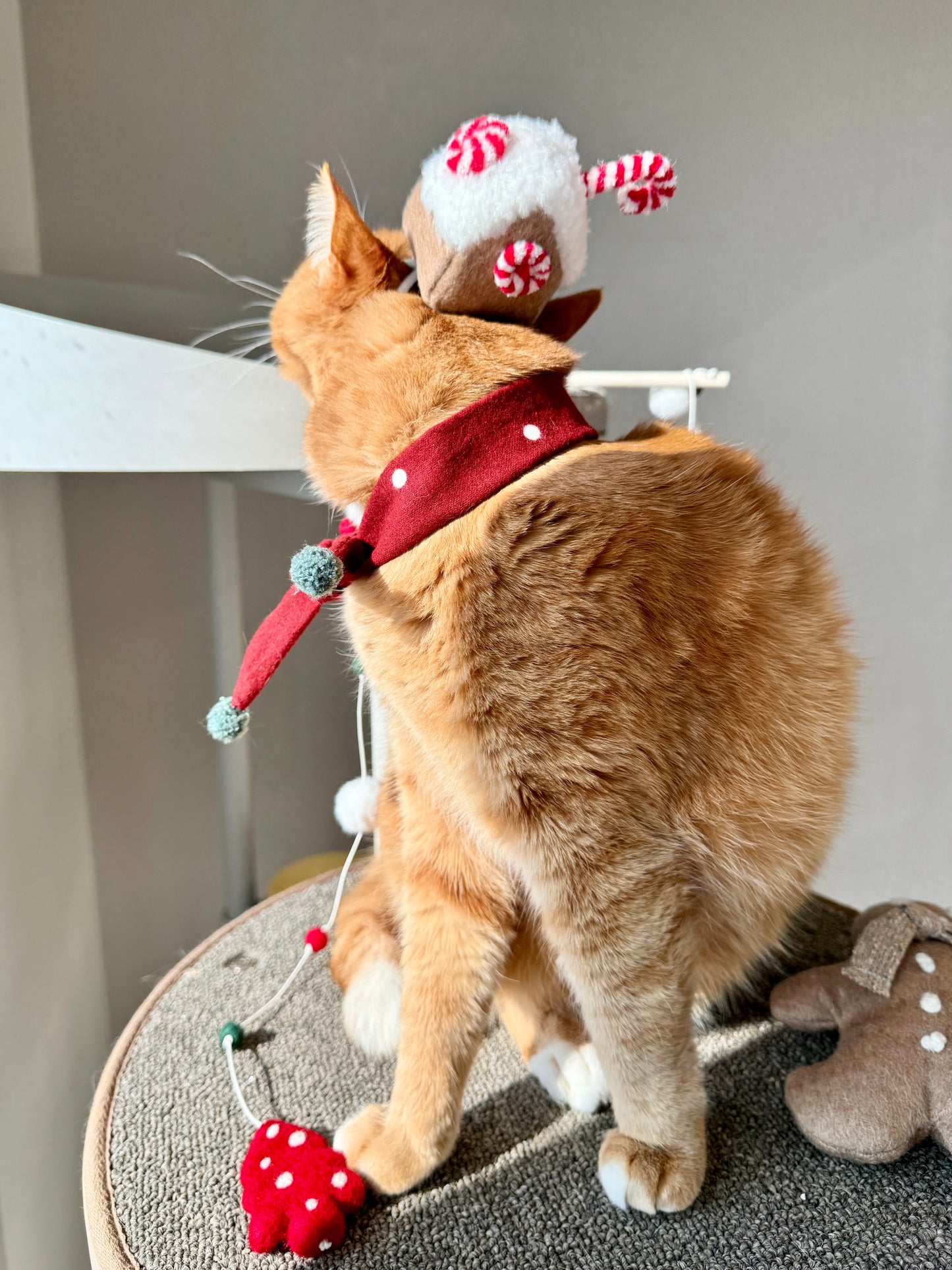 Gingerbread House Head Piece