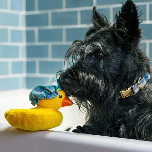 Bubbles The Duck Squeaky Plush Toy