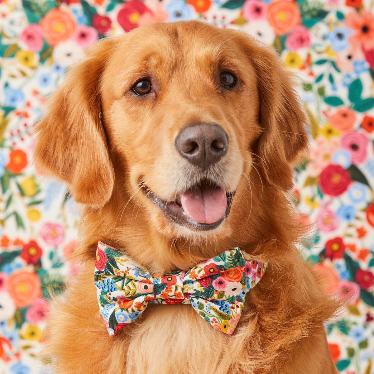 Garden Party Bow Tie