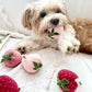 Strawberry Dog Toy (Set of 3)