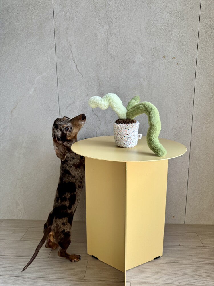 Monkey Tail Plant Dog Toy