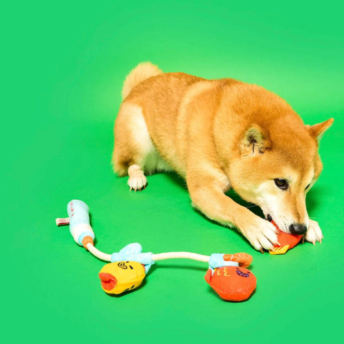 Fishing Nosework & Tug Toy