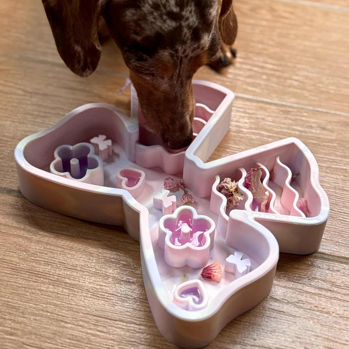 coquette forage feeder in unicorn sorbet