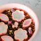Flower + Leaf Slow Feeder Bowl (Peach)