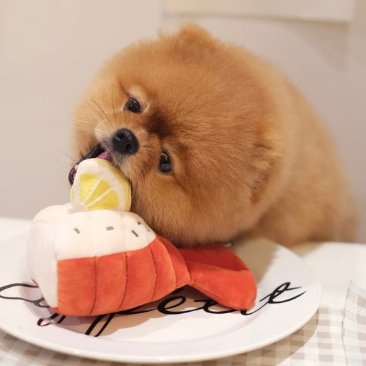 Grilled Lobster Nosework Toy