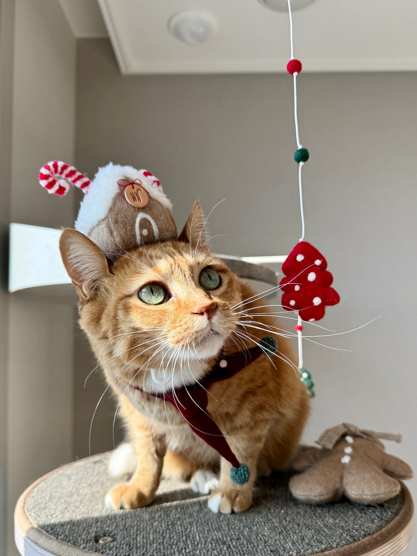 Gingerbread House Head Piece