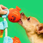 Fishing Nosework & Tug Toy