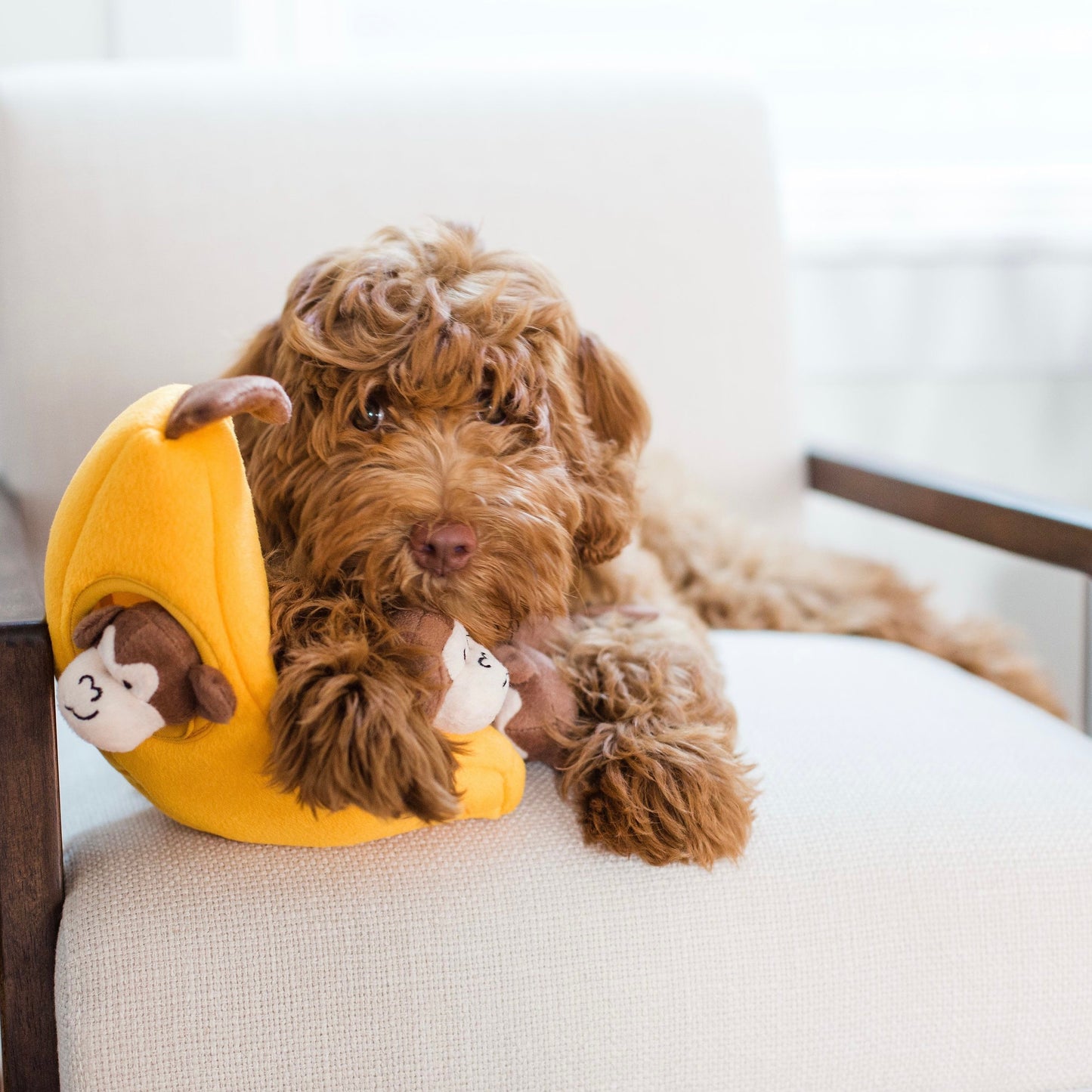 Monkey & Banana Interactive Toy