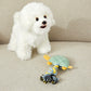 Summer Sea Friends Turtle Toy