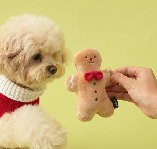 Gingerbread Man Toy