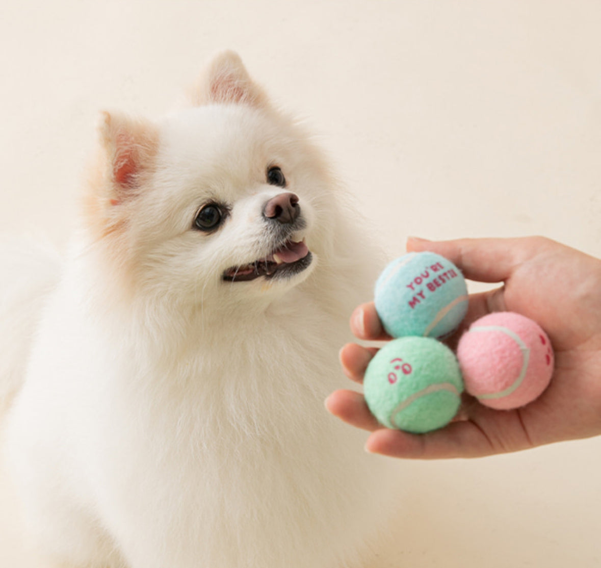 *NEW* Mini Tennis Ball Toy (Set of 3)