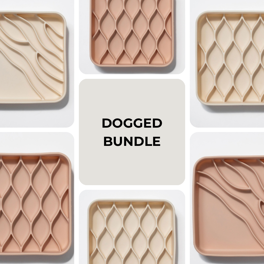 DOGGED BUNDLE | argyle + beach slow feeder bowl