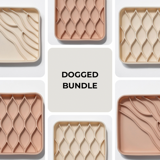 DOGGED BUNDLE | argyle + beach slow feeder bowl
