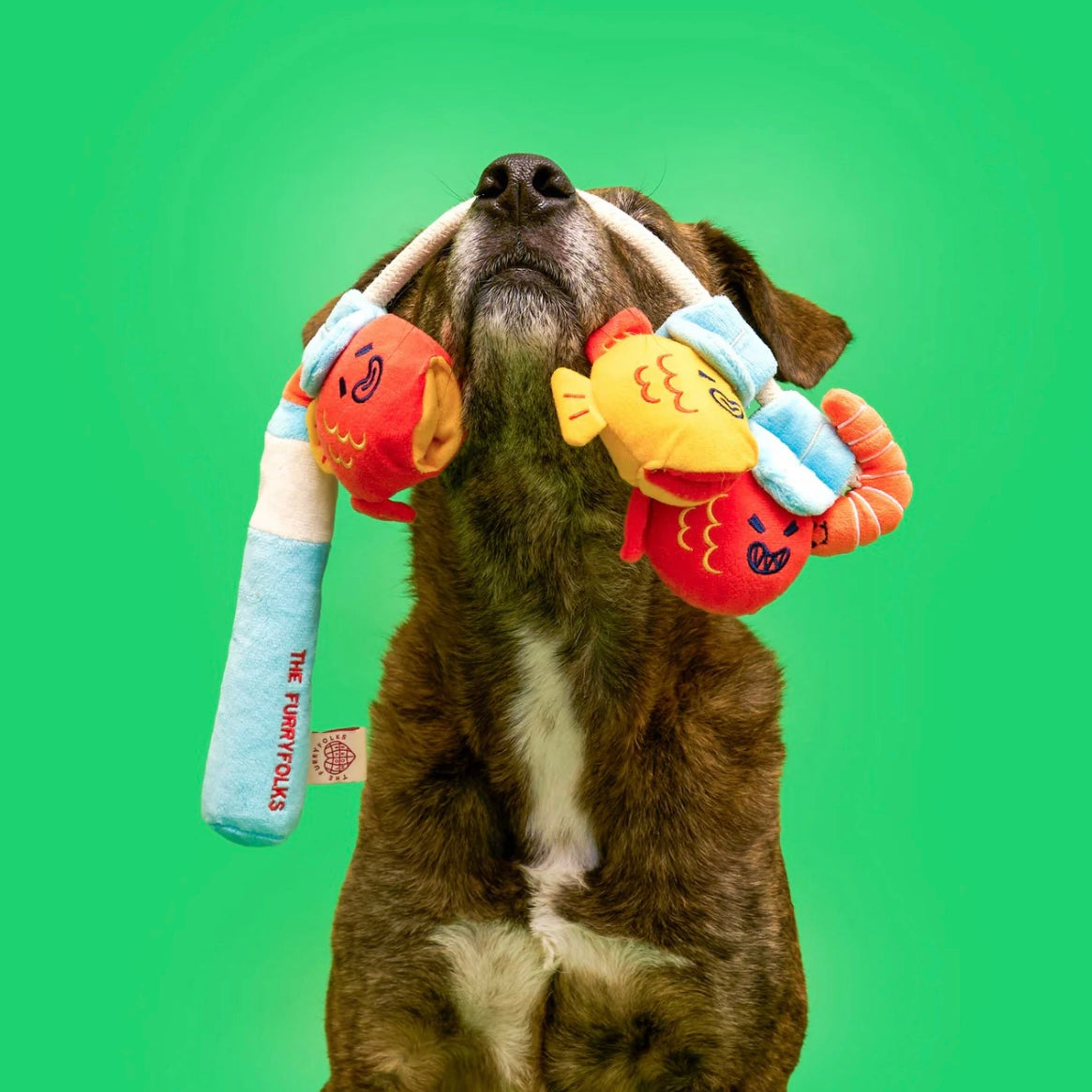 Fishing Nosework & Tug Toy