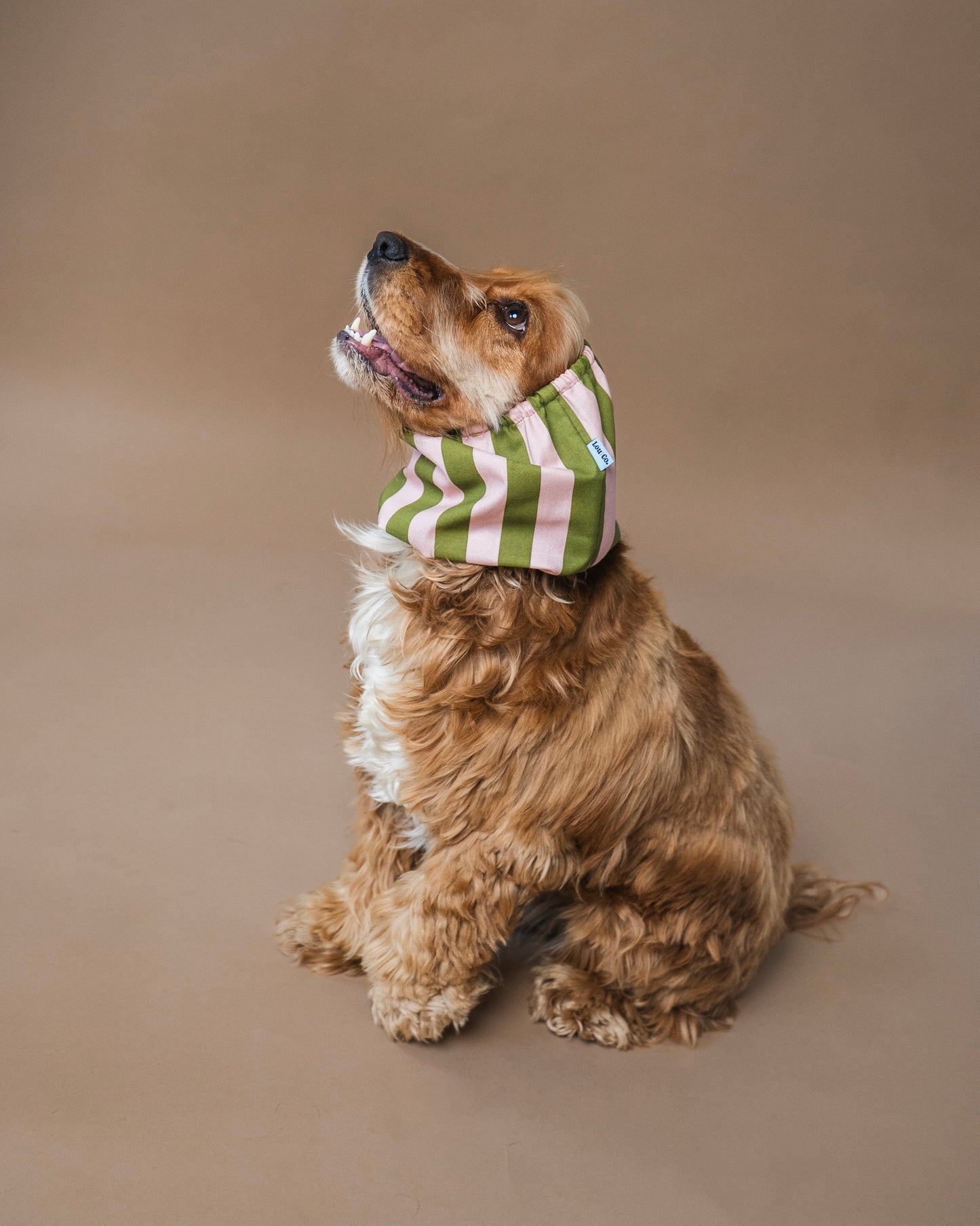 Green & Pink Stripes Snood