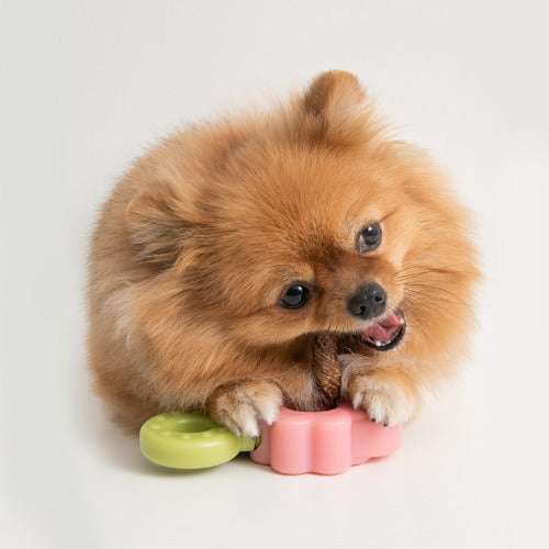 *NEW* Easy Bite Grip Chew Treat Holder