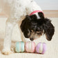 Macarons Interactive Snuffle Dog Toy