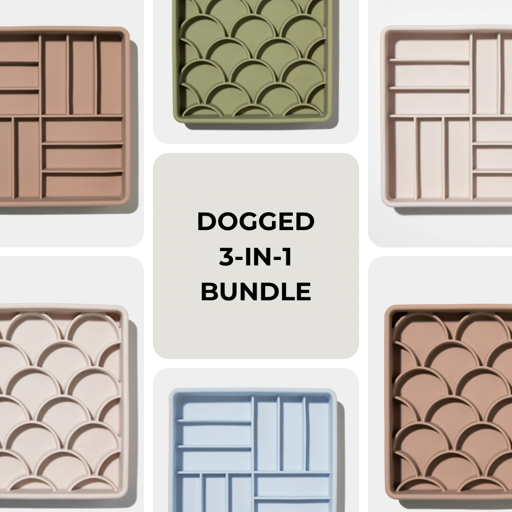 DOGGED BUNDLE | 3-in-1 fish scale + parquet slow feeder bowl