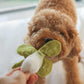 Veggie Garden Nosework Toy