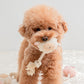BonBon Green Furry Friends Rope Tug Toy