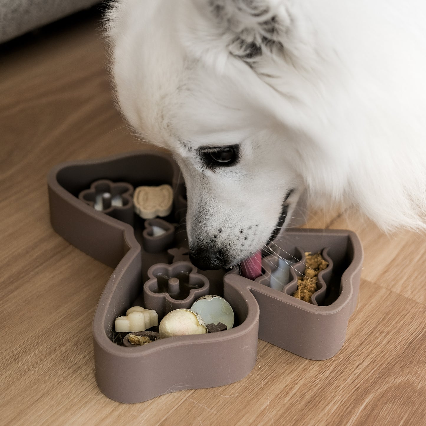 coquette forage feeder in espresso