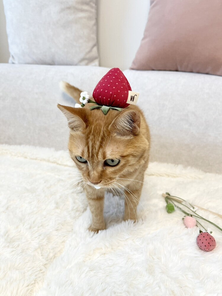 Strawberry Head Piece