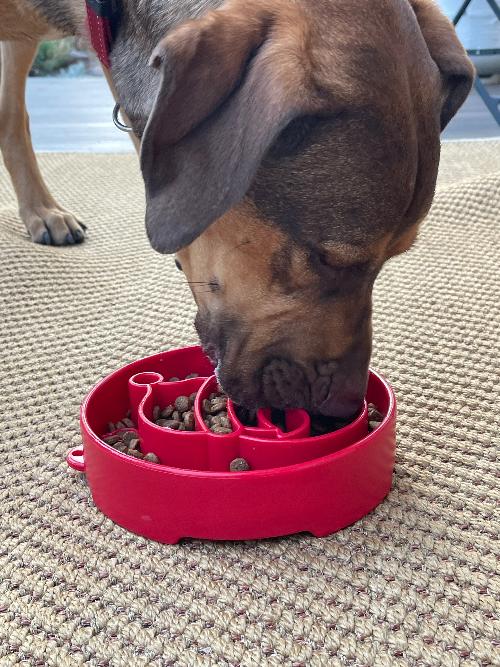 Santa Design Enrichment Slow Feeder Bowl