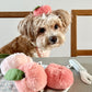 Donut Peach Head Piece