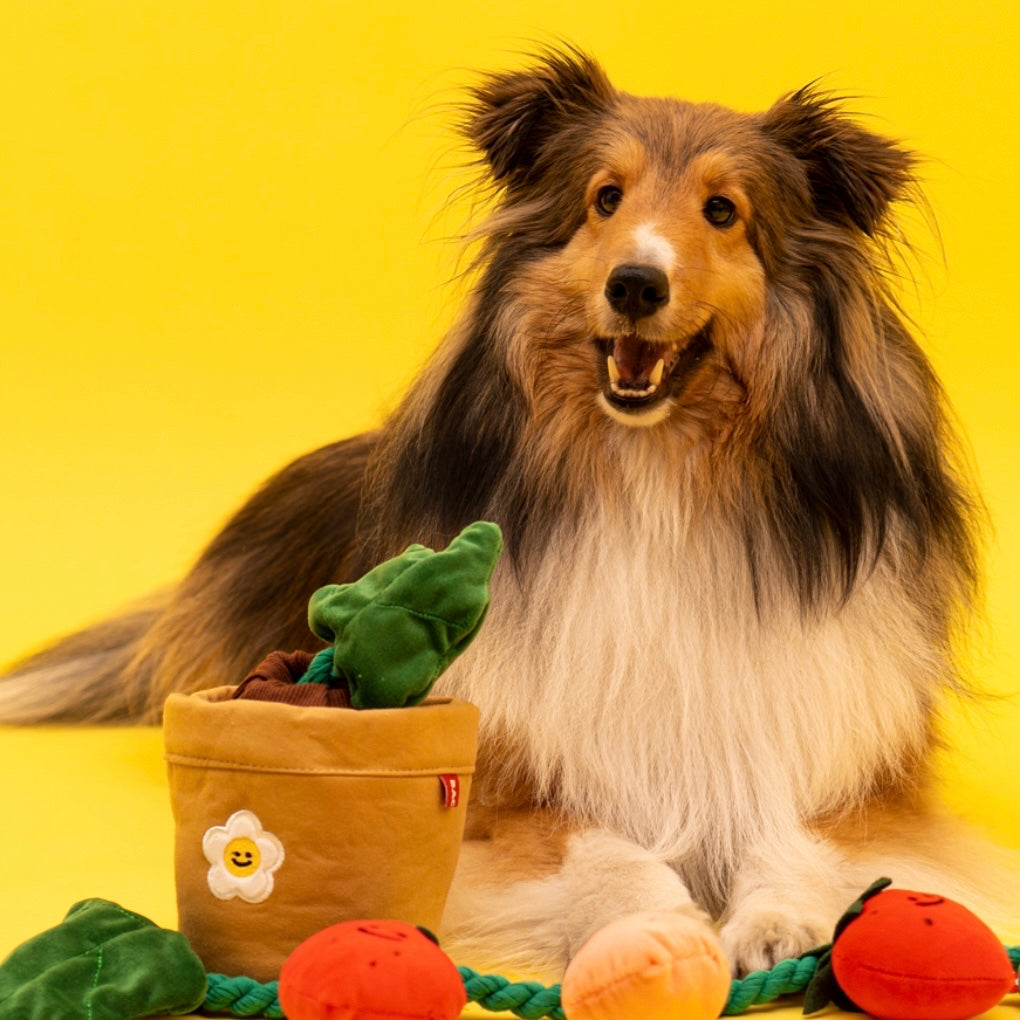 Strawberry Tug Toy