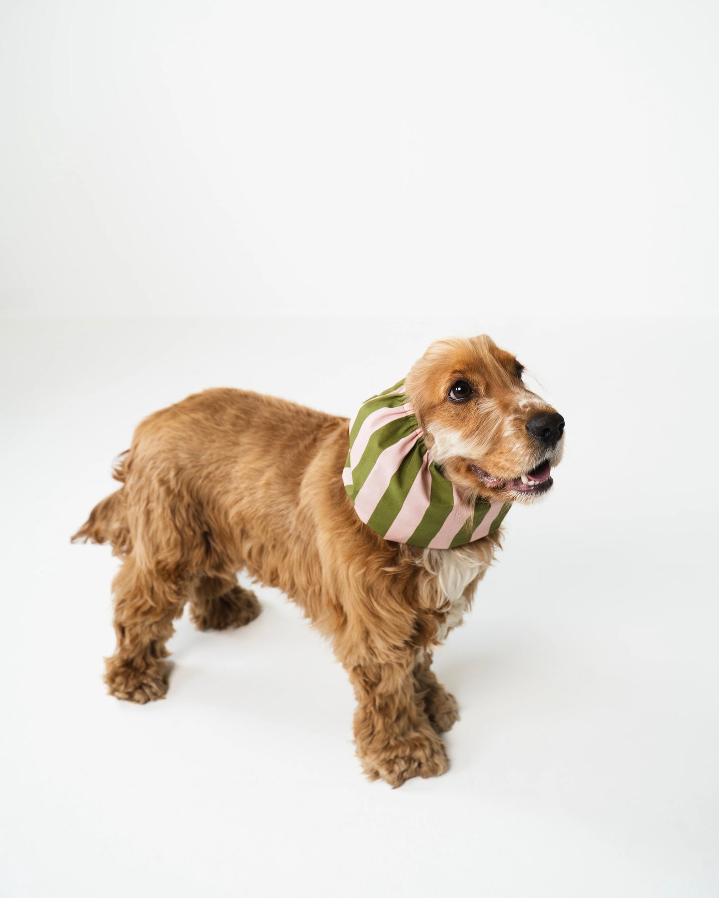 Green & Pink Stripes Snood