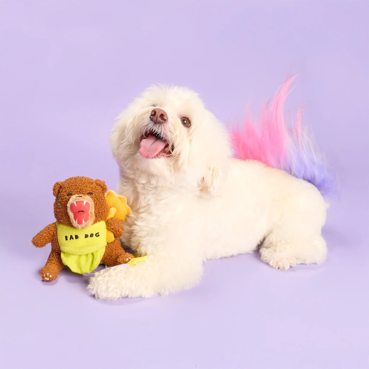 Happy Bear Tofino Nosework Toy