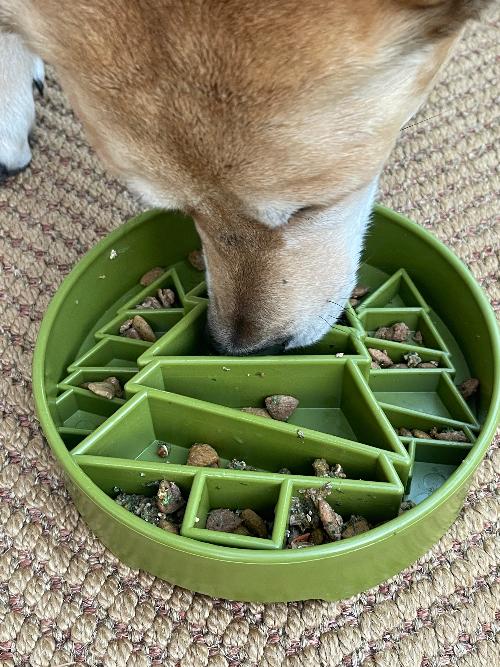 Pine Tree Design Enrichment Slow Feeder Bowl