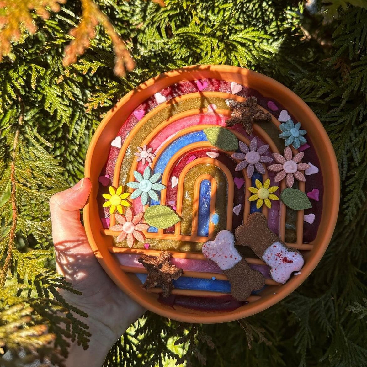 Rainbow Slow Feeder Bowl