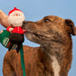 Santa Paws Nosework Toy