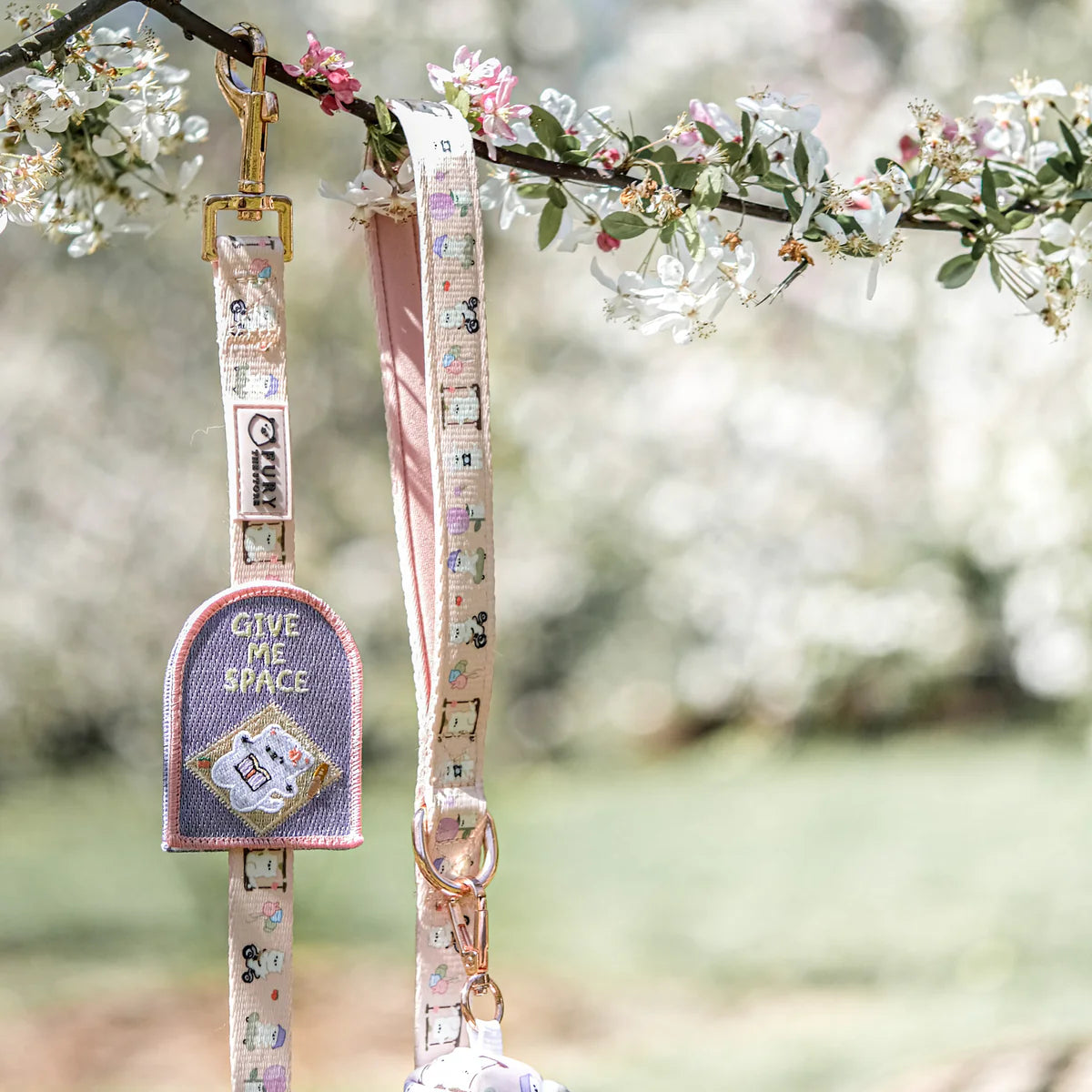 summit in paris leash