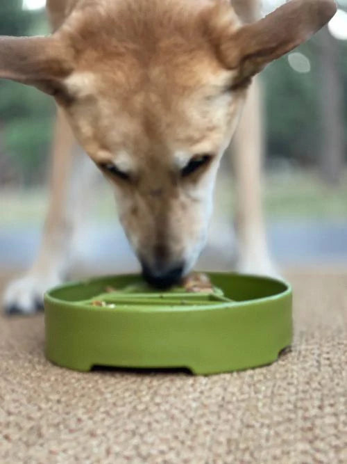 Pine Tree Design Enrichment Slow Feeder Bowl