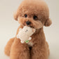 BonBon Green Furry Friends Mini Squeaky Toy