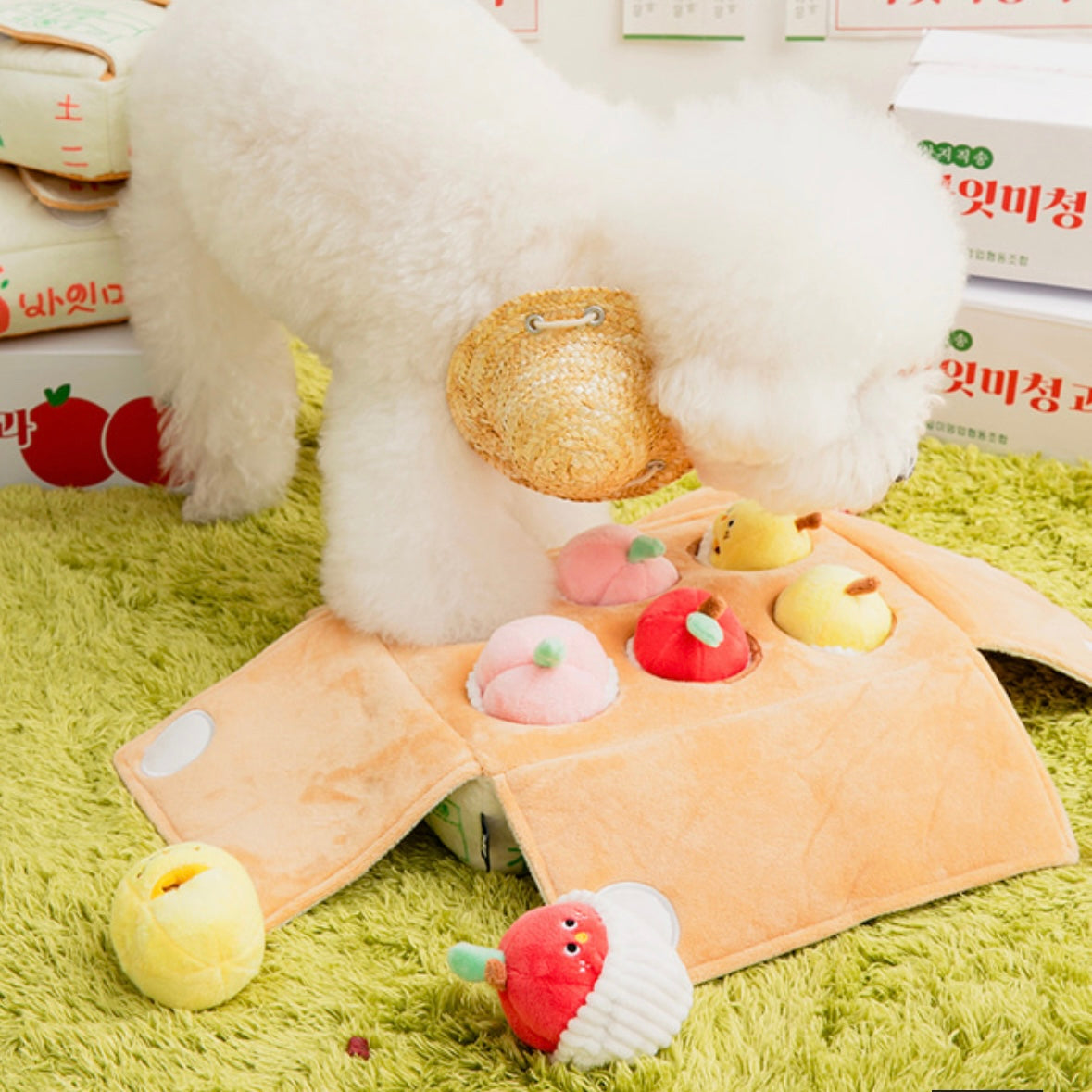 *NEW* Mixed Fruits Box Nosework Toy