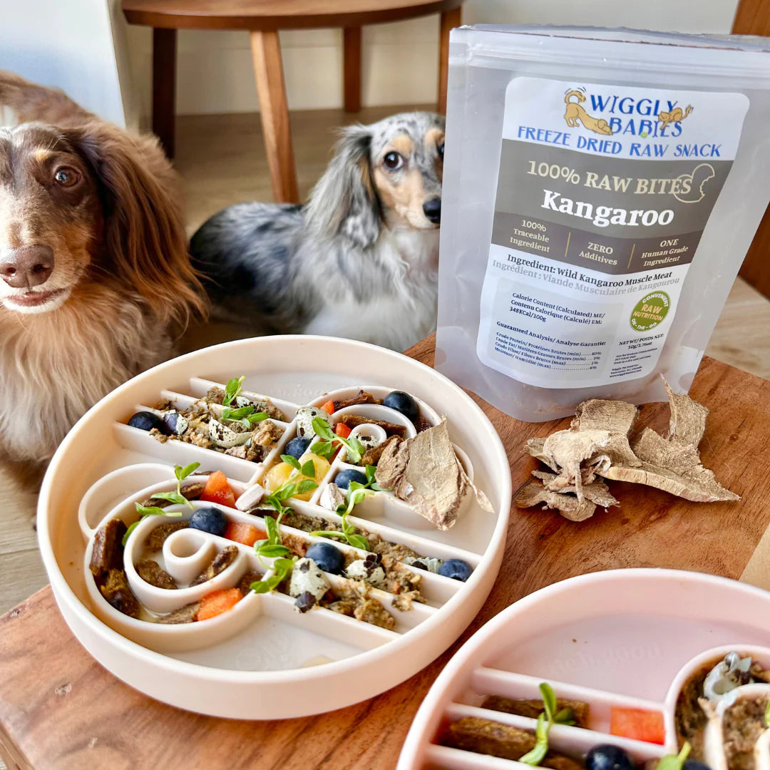zoomies slow feeder bowl | oatmeal