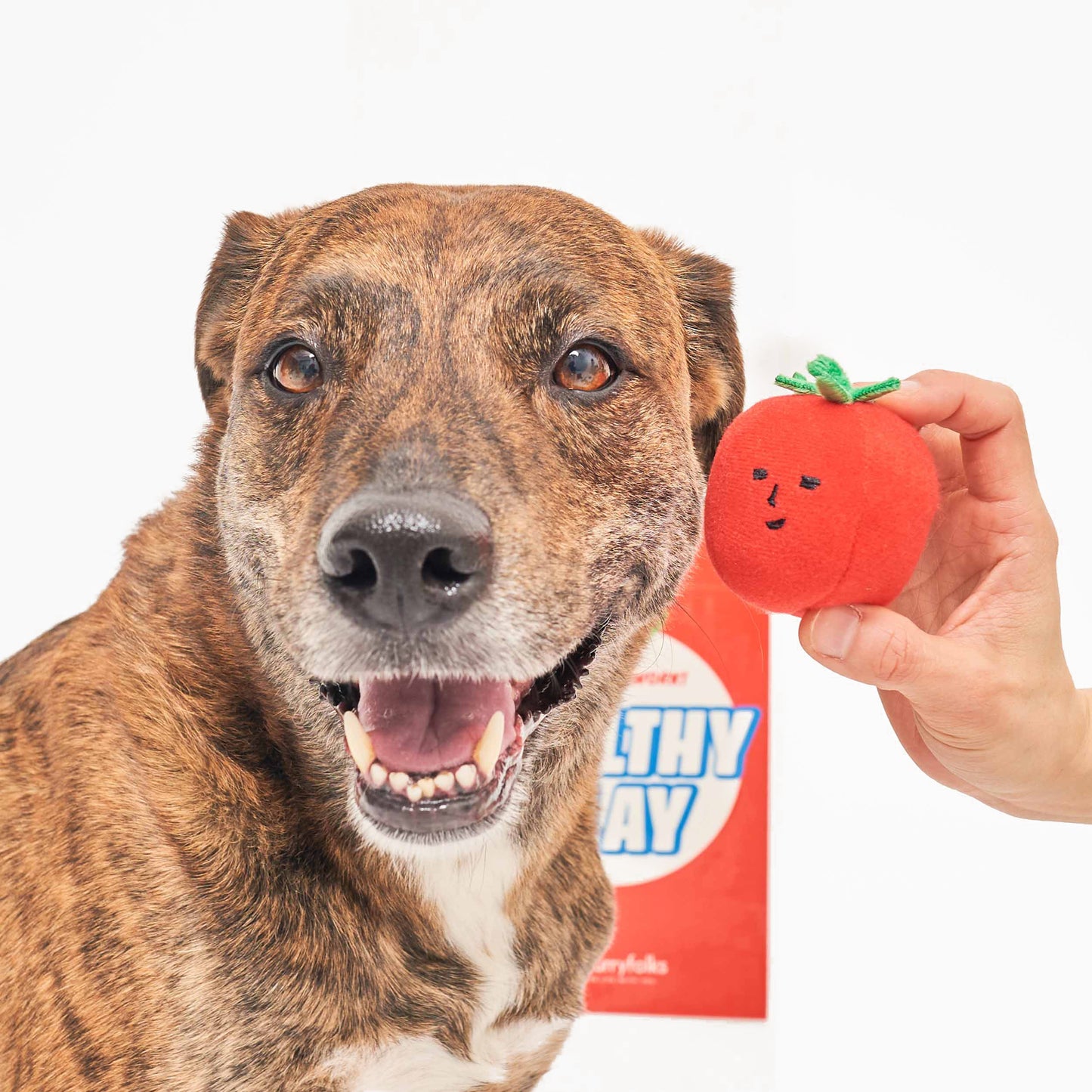 Cherry Tomato Nosework & Tug Toy