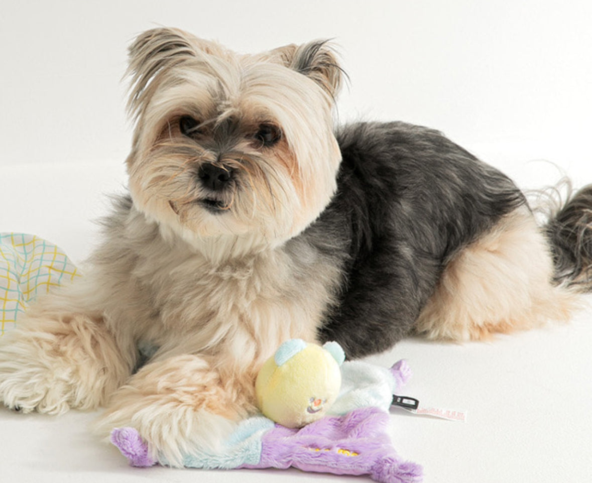 Crinkle Blanket Toy