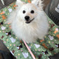 dogs at the park settle mat