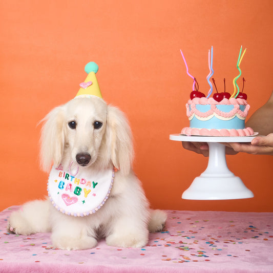 Little Birthday Baby Bib