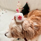 Gingerbread House Head Piece