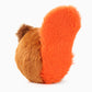 Squirrel Super Ball Toy