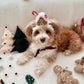 Gingerbread House Head Piece