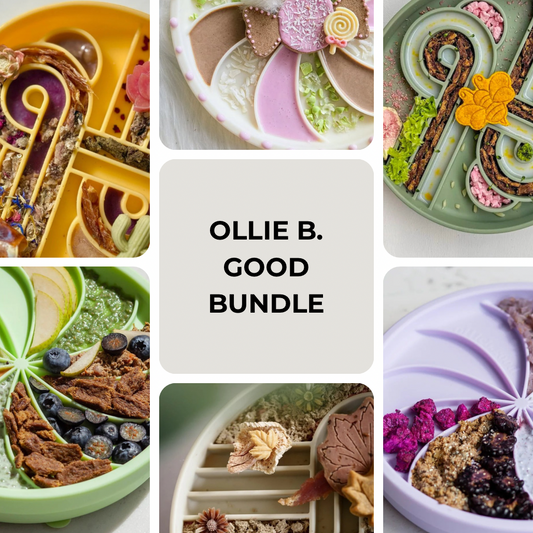 OLLIE B. GOOD BUNDLE | wheelies + zoomies slow feeder bowl