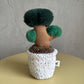 Bonsai Plant Dog Toy